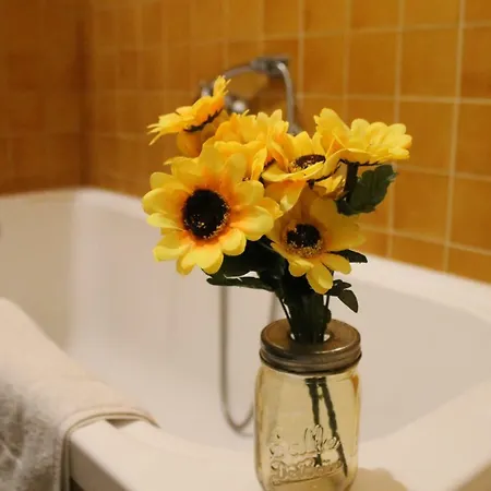 Bed & Breakfast Ai Bastioni Del Massimo Palermo